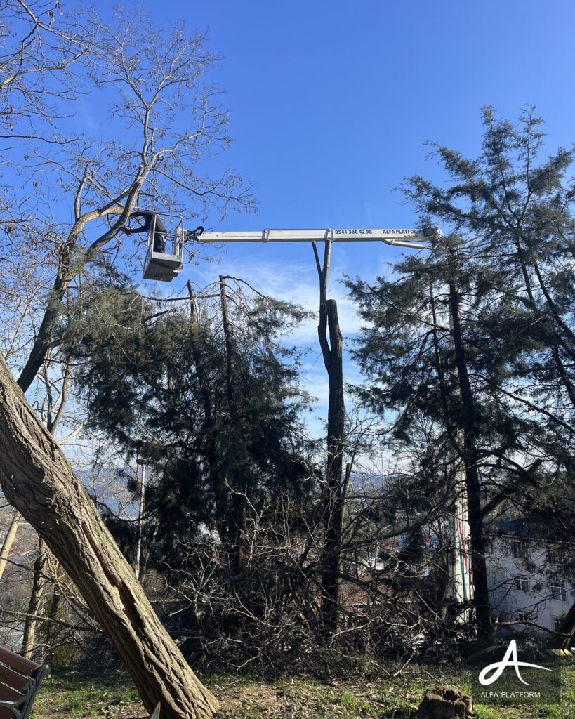 Araç üstü sepetli platformun uzatılmış bomu