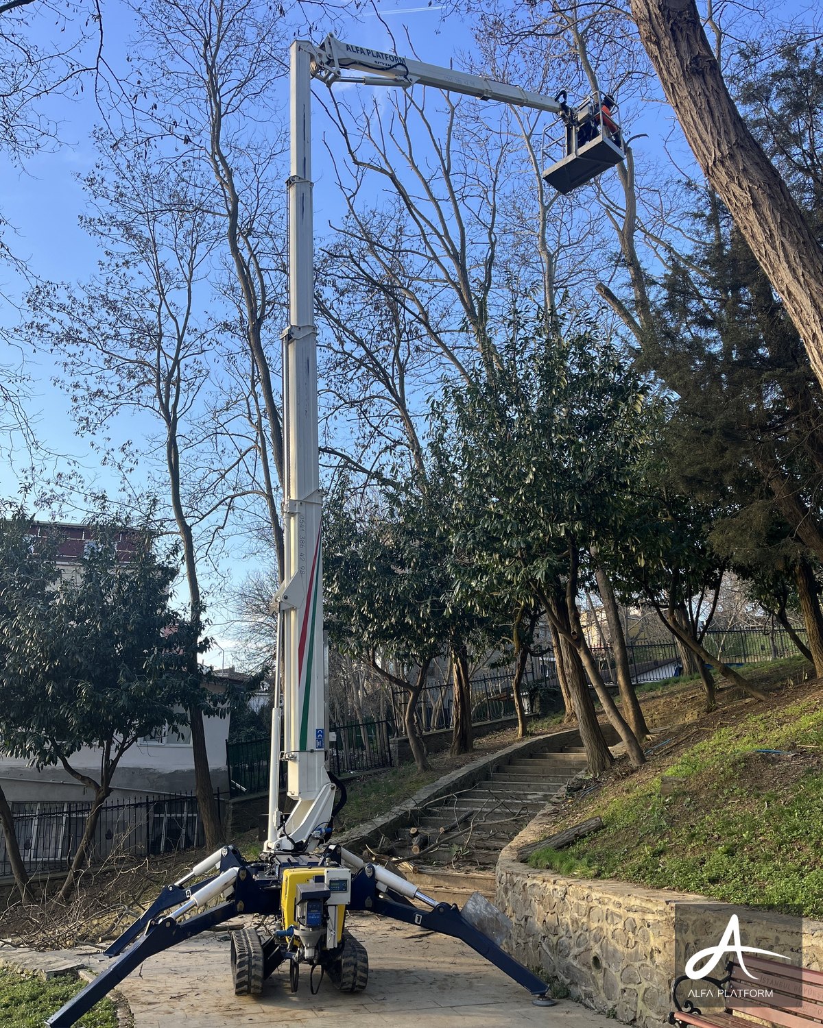 Bir örümcek platform, parkta ağaç budama işi yapıyor.